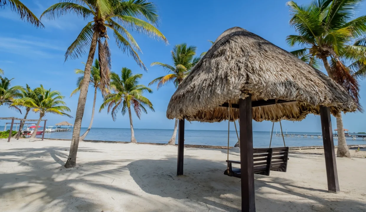 kellerwilliamsbelize-dolphindreamb3jm-37