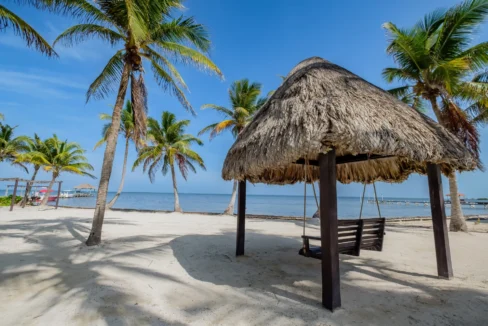 kellerwilliamsbelize-dolphindreamb3jm-37