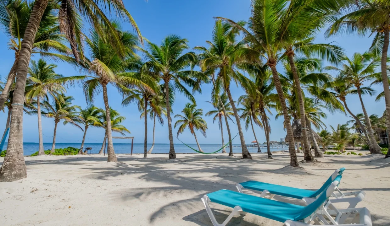 kellerwilliamsbelize-dolphindreamb3jm-38