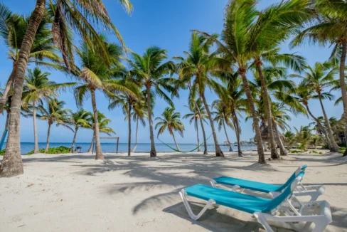 kellerwilliamsbelize-dolphindreamb3jm-38