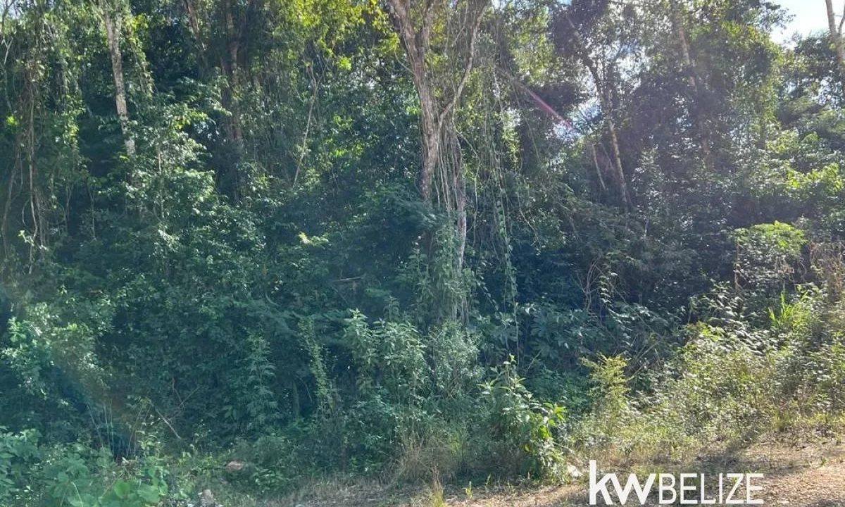 kellerwilliamsbelize-gl132302cr-09