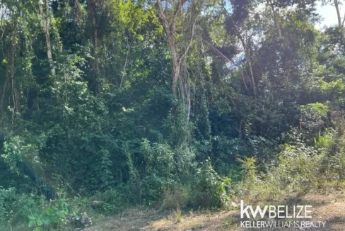 kellerwilliamsbelize-gl132302cr-09