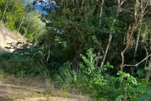 kellerwilliamsbelize-gl132302cr-10