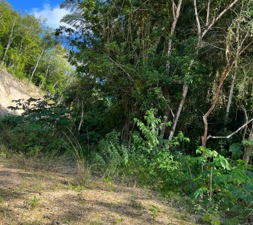 kellerwilliamsbelize-gl132302cr-10