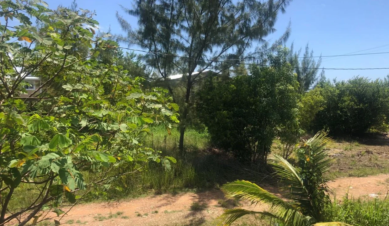 kellerwilliamsbelize-h1020-12