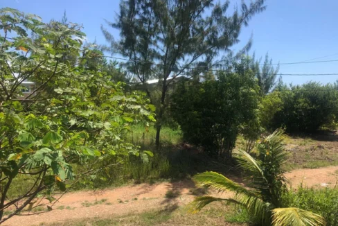 kellerwilliamsbelize-h1020-12