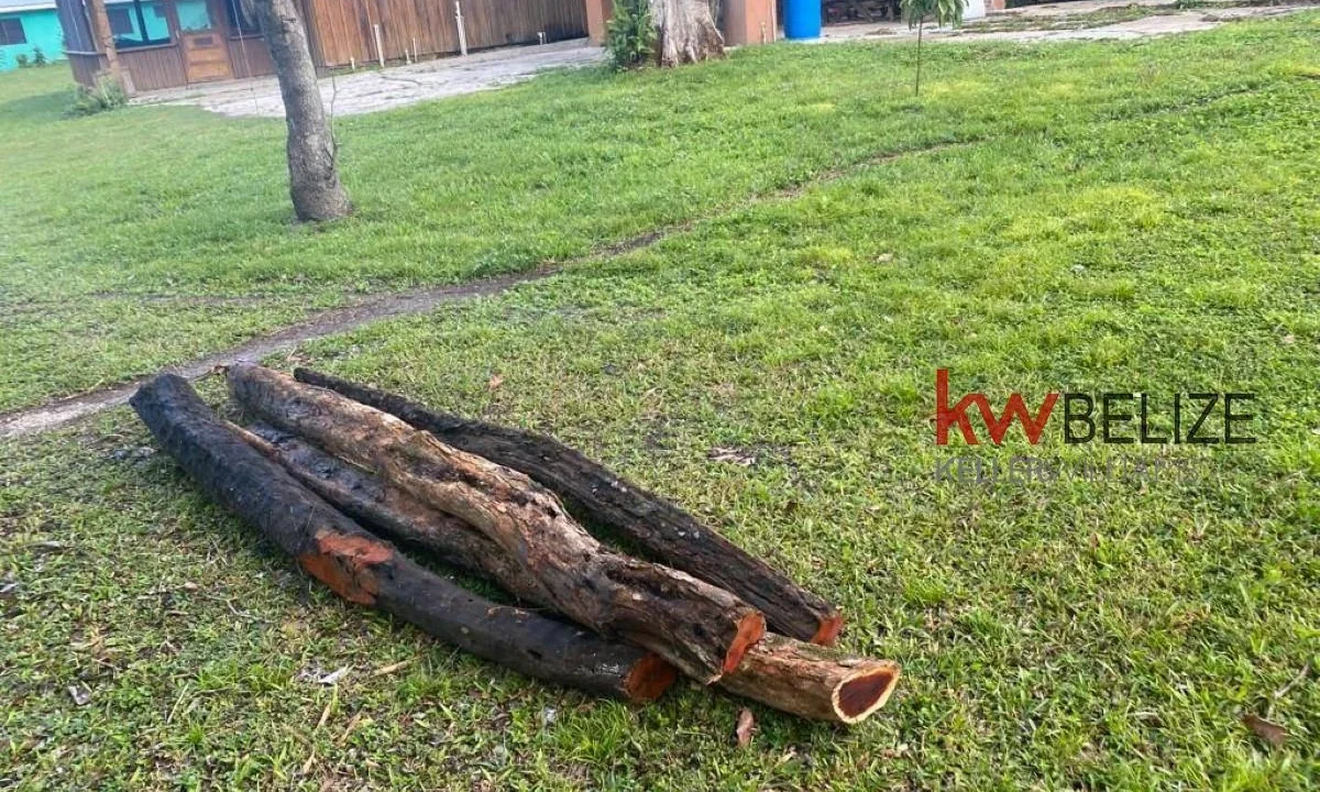 kellerwilliamsbelize-h182406bl-06