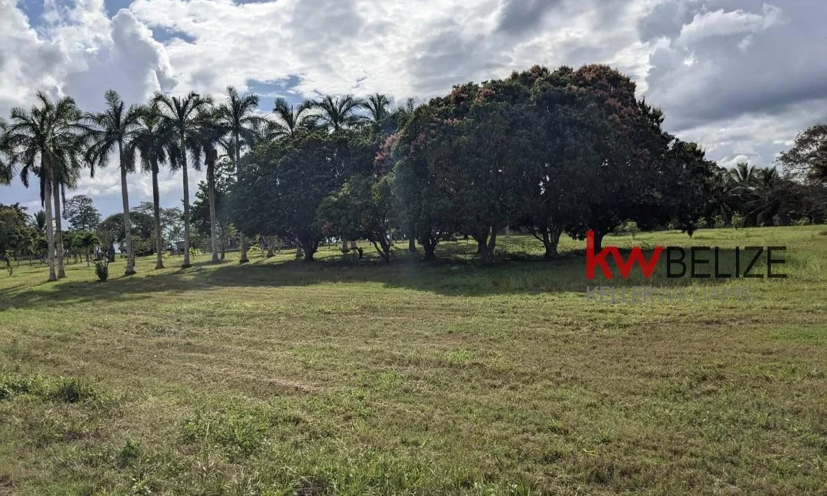 kellerwilliamsbelize-h192301ow-06