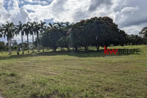 kellerwilliamsbelize-h192301ow-06