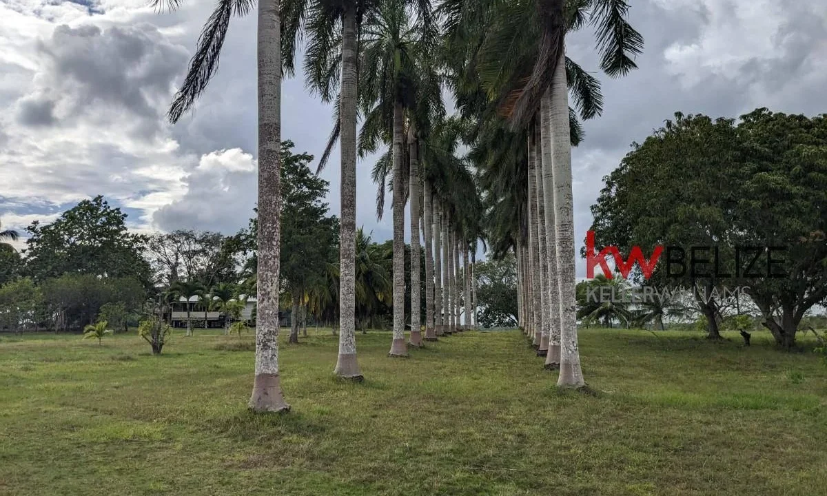 kellerwilliamsbelize-h192301ow-07