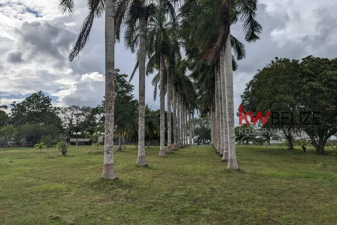 kellerwilliamsbelize-h192301ow-07