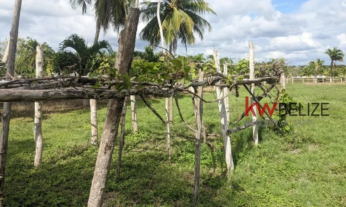 kellerwilliamsbelize-h192301ow-38