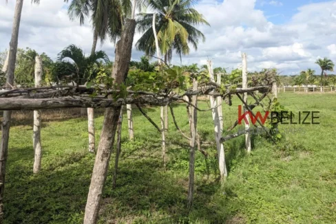kellerwilliamsbelize-h192301ow-38