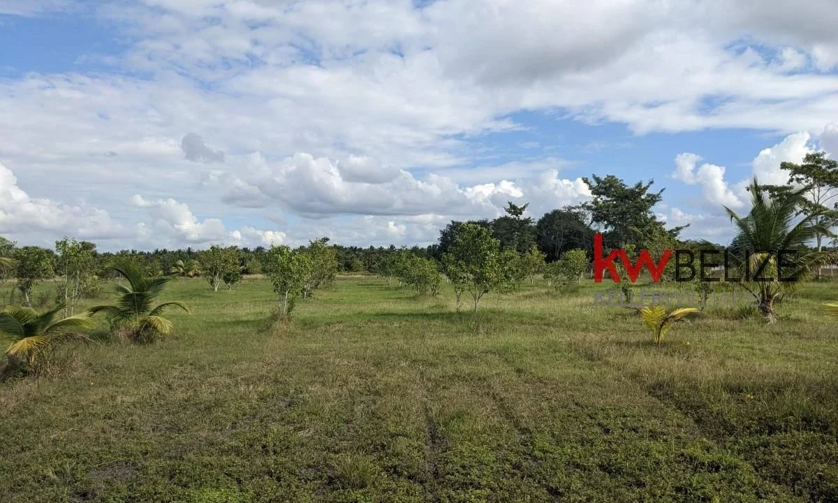 kellerwilliamsbelize-h192301ow-59