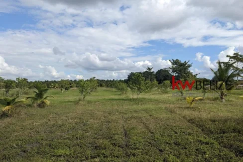kellerwilliamsbelize-h192301ow-59