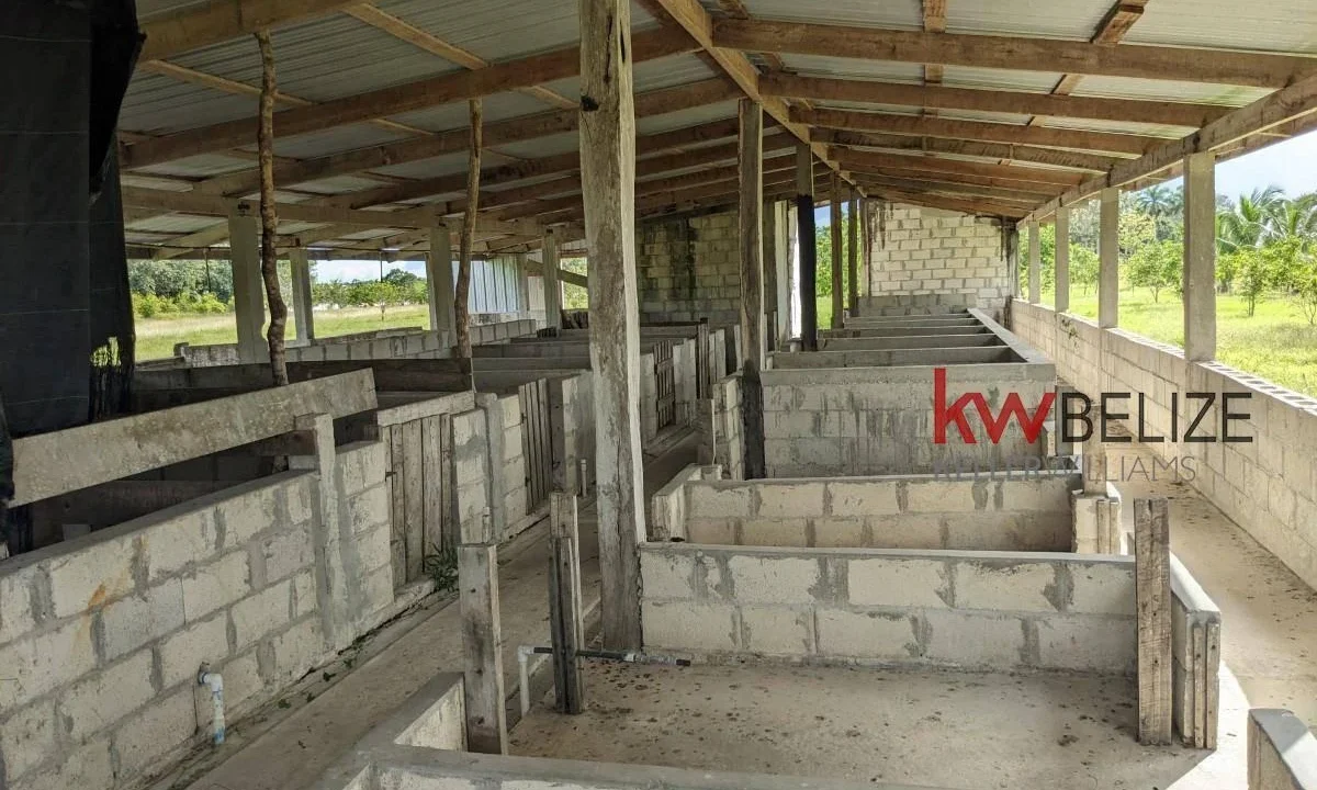 kellerwilliamsbelize-h192301ow-60