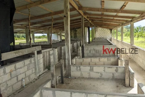 kellerwilliamsbelize-h192301ow-60