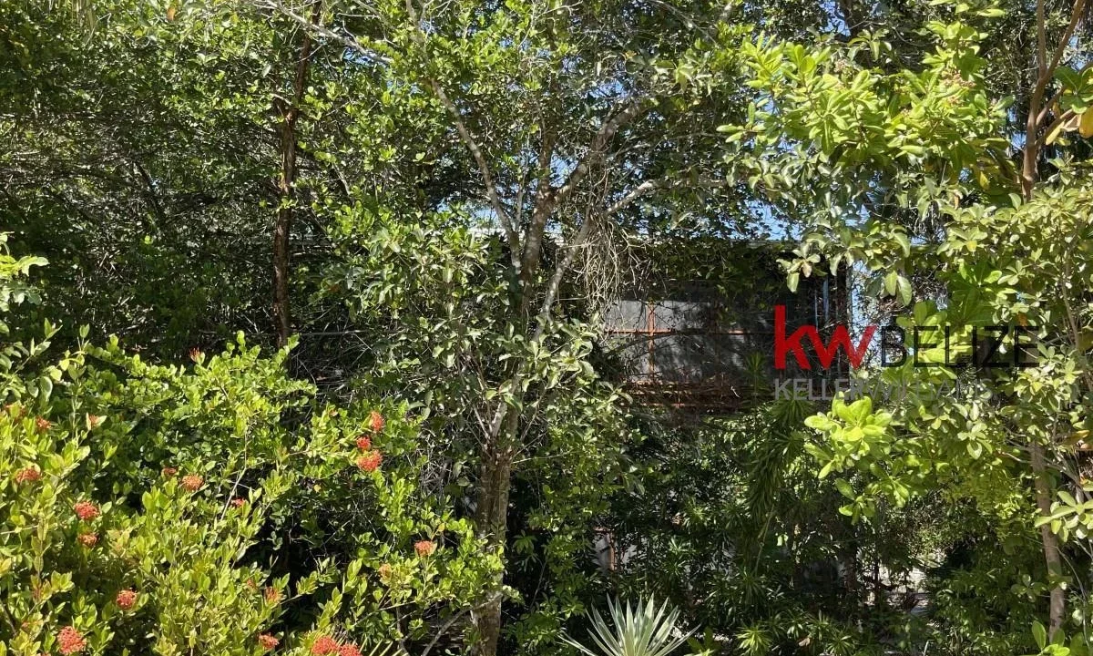 kellerwilliamsbelize-h2090-29
