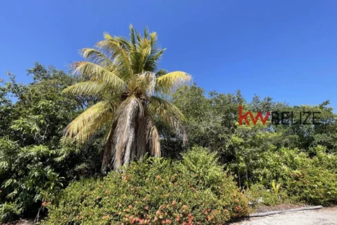 kellerwilliamsbelize-h2090-30