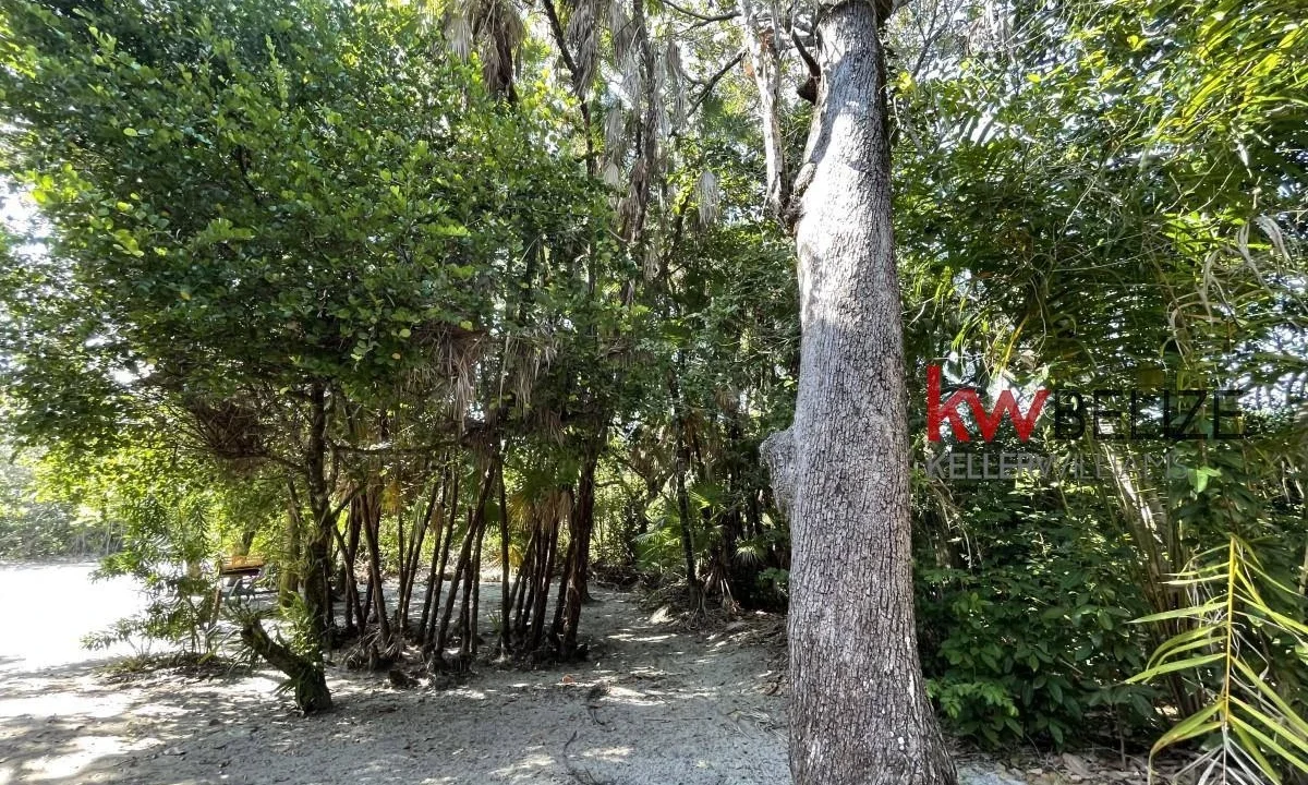 kellerwilliamsbelize-h2090-34