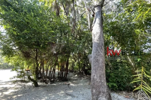 kellerwilliamsbelize-h2090-34