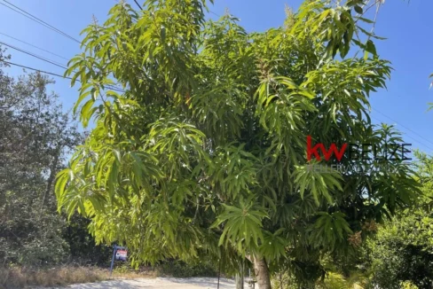 kellerwilliamsbelize-h2090-36