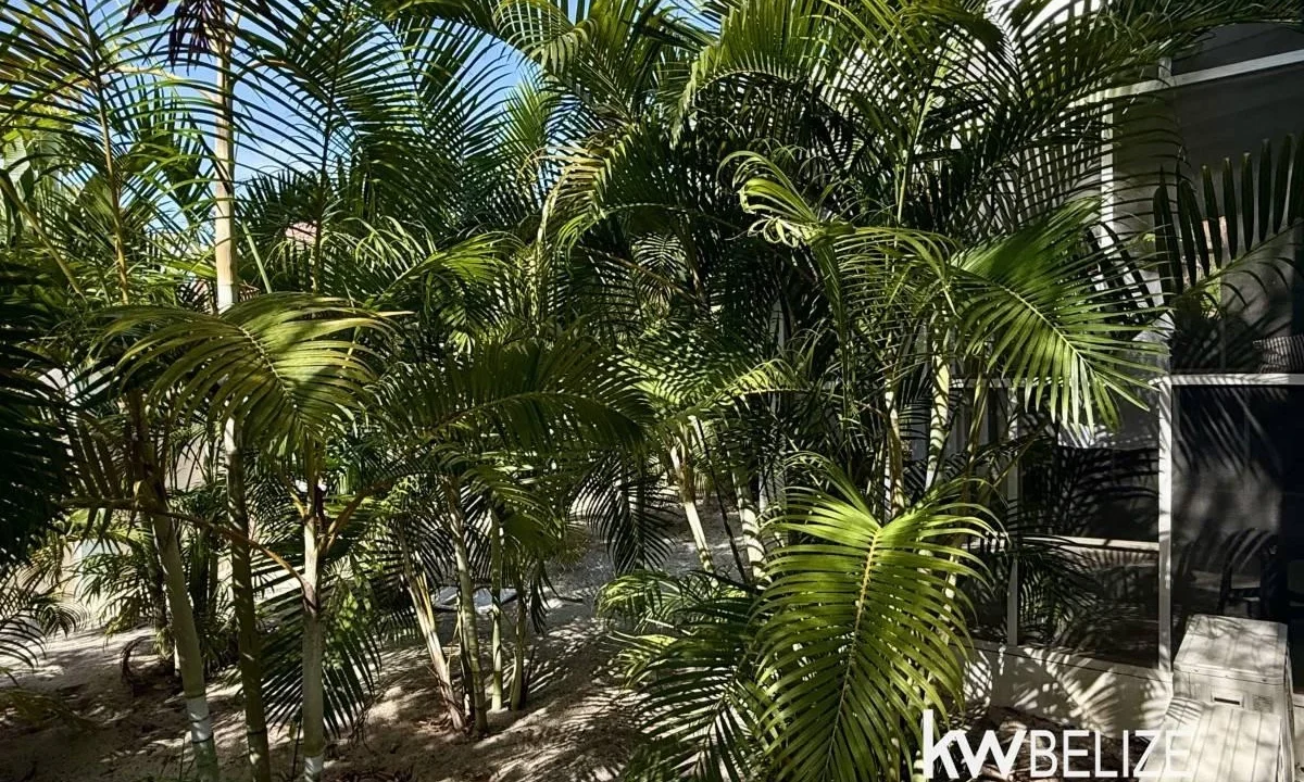kellerwilliamsbelize-h2114-21