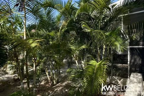 kellerwilliamsbelize-h2114-21