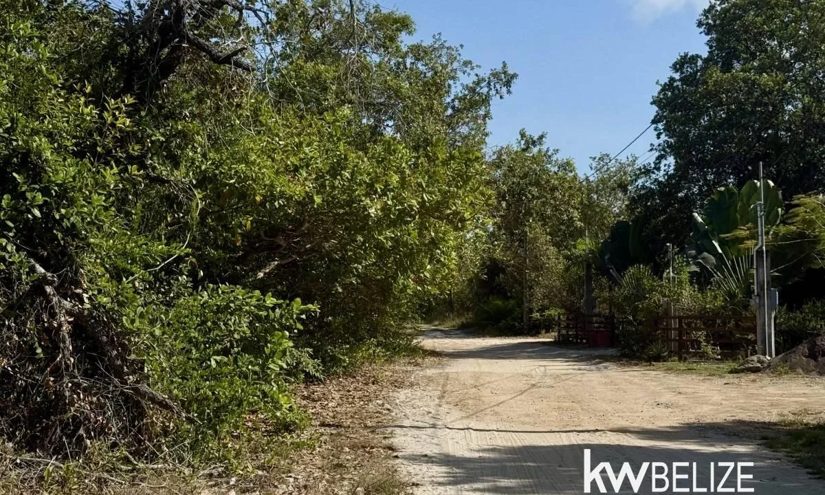 kellerwilliamsbelize-h2114-25