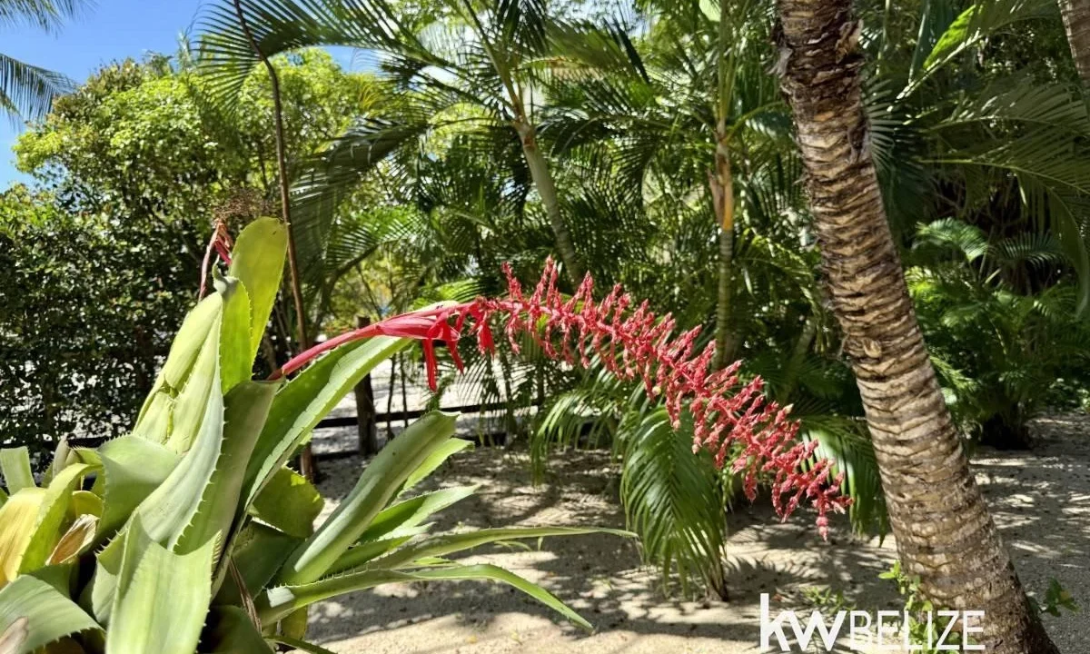 kellerwilliamsbelize-h2122-24