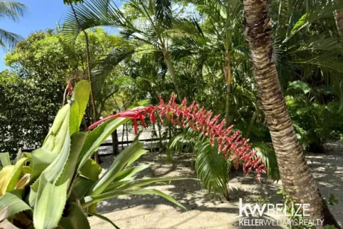 kellerwilliamsbelize-h2122-24