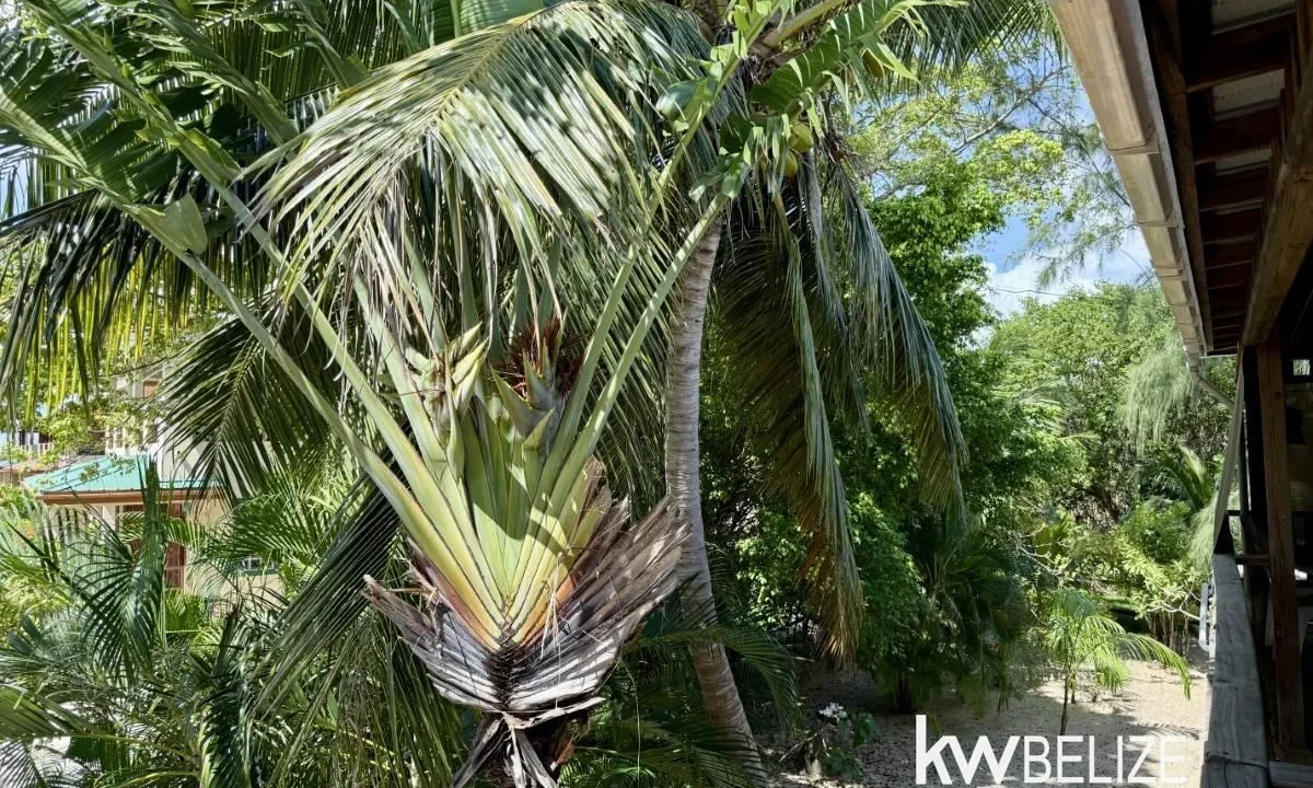 kellerwilliamsbelize-h2122-25