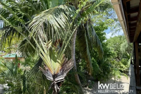 kellerwilliamsbelize-h2122-25