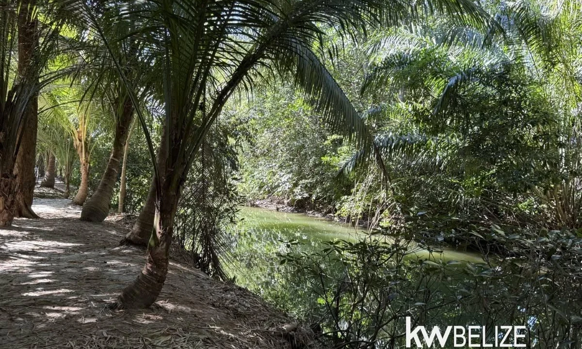 kellerwilliamsbelize-h2126-02