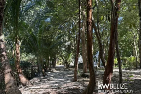 kellerwilliamsbelize-h2126-24