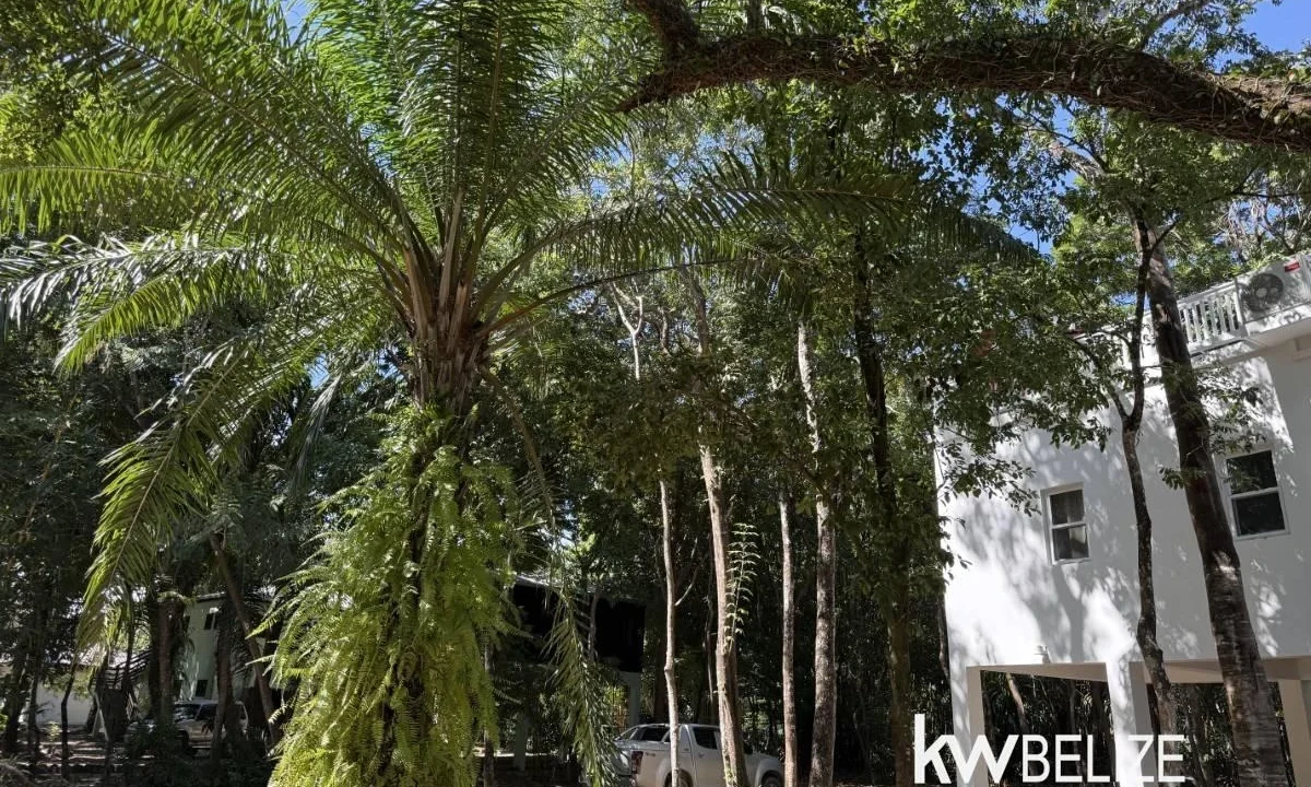 kellerwilliamsbelize-h2126-27