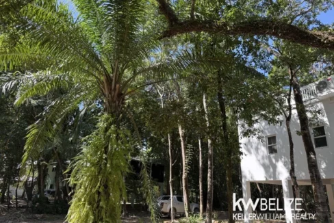 kellerwilliamsbelize-h2126-27