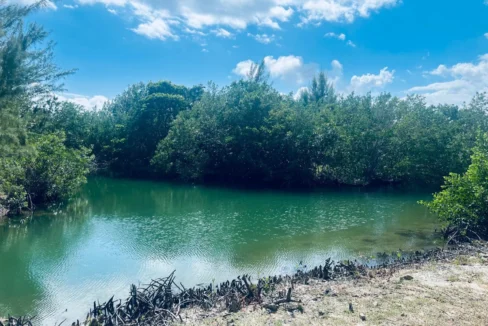 kellerwilliamsbelize-h5006-38