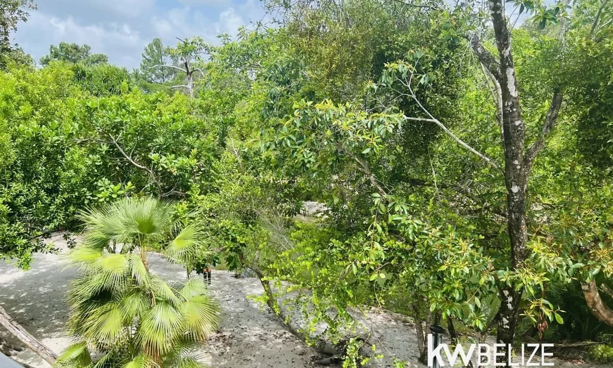 kellerwilliamsbelize-h5007-21