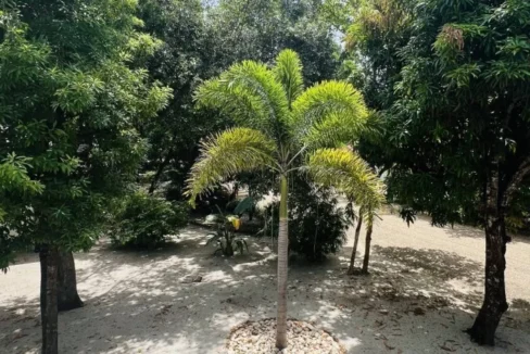 kellerwilliamsbelize-h5007-35