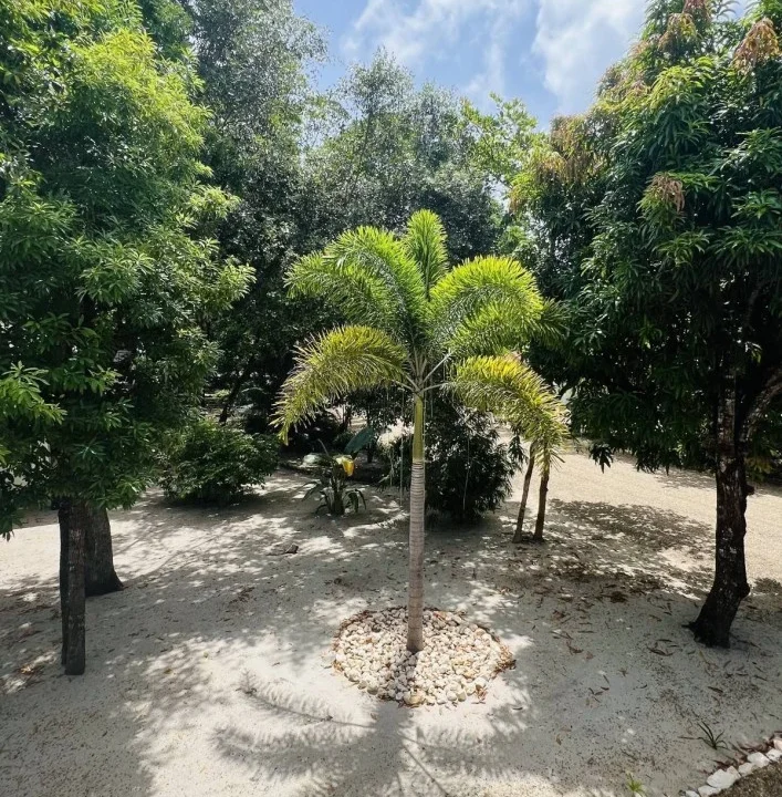 kellerwilliamsbelize-h5007-35