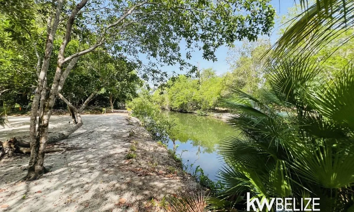 kellerwilliamsbelize-h5007-50