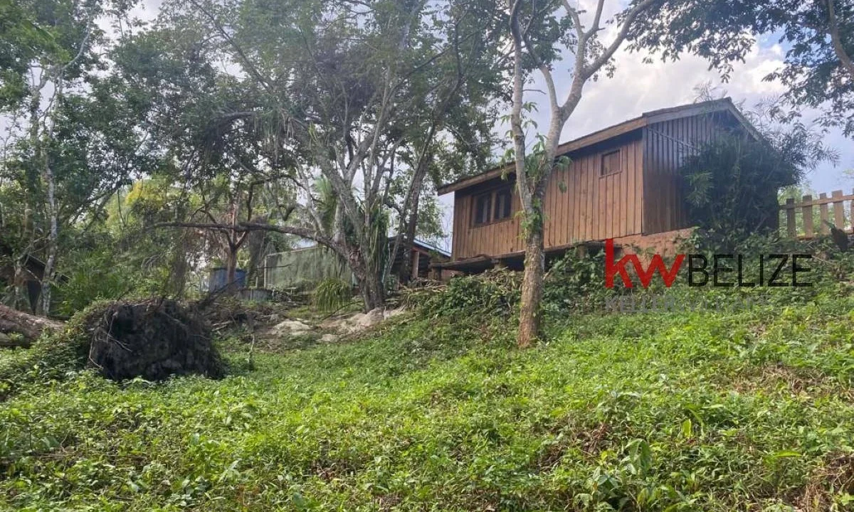 kellerwilliamsbelize-hc182406bl-12