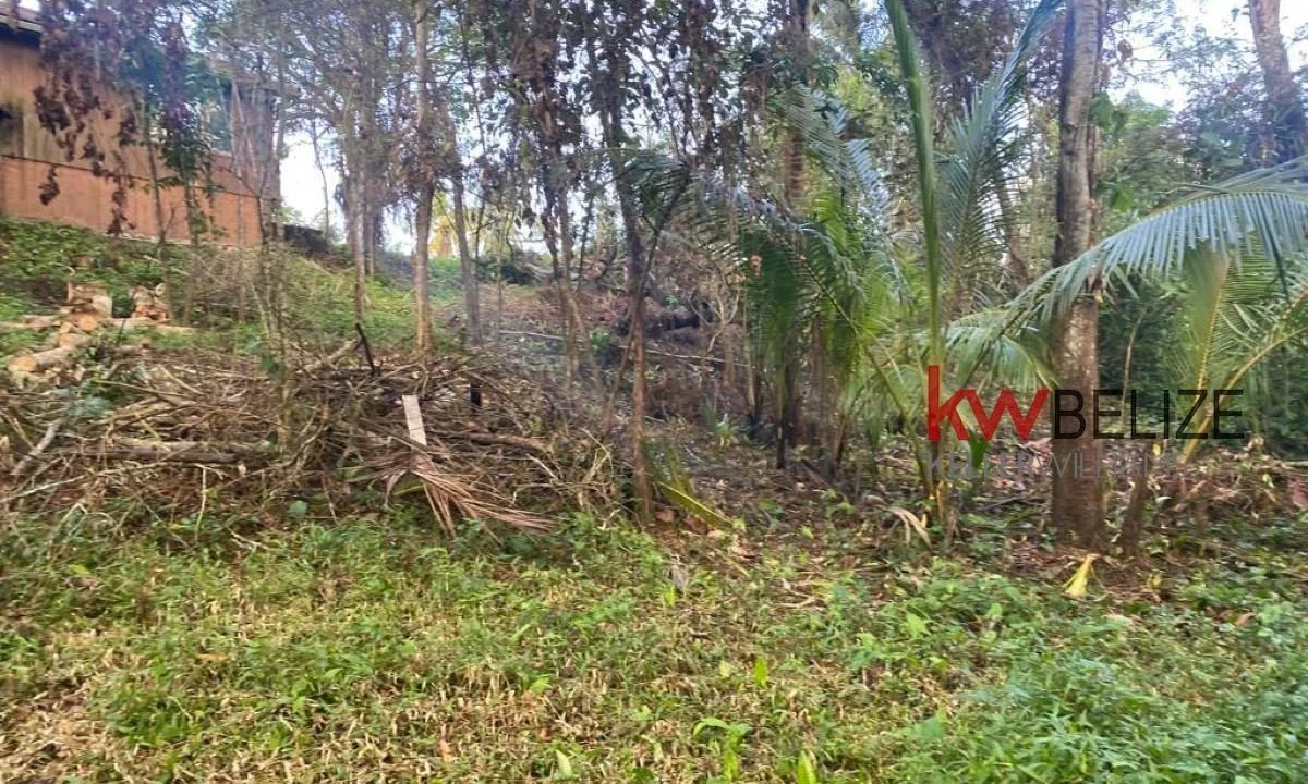 kellerwilliamsbelize-hc182406bl-15