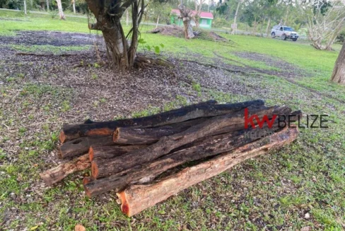 kellerwilliamsbelize-hc182406bl-16