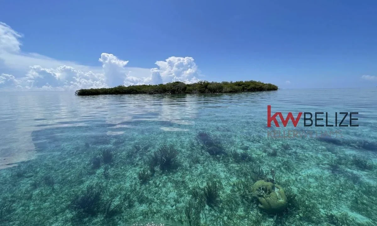 kellerwilliamsbelize-i2082-01