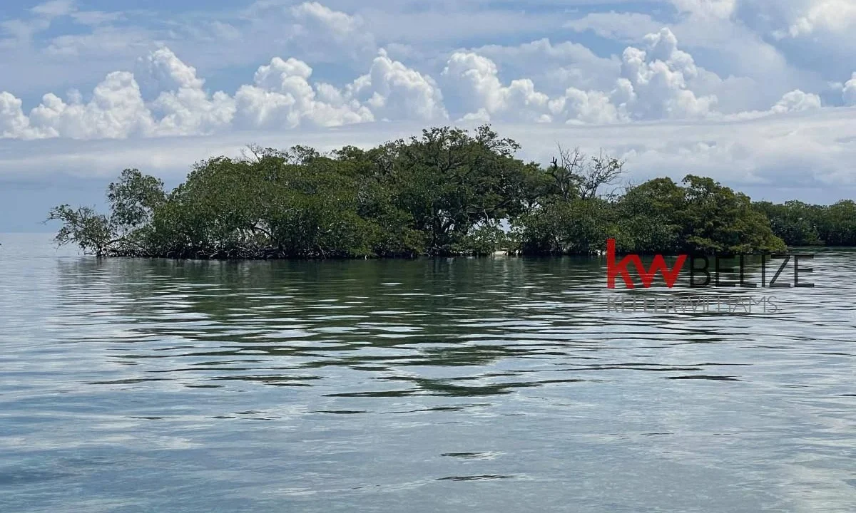 kellerwilliamsbelize-i2082-03