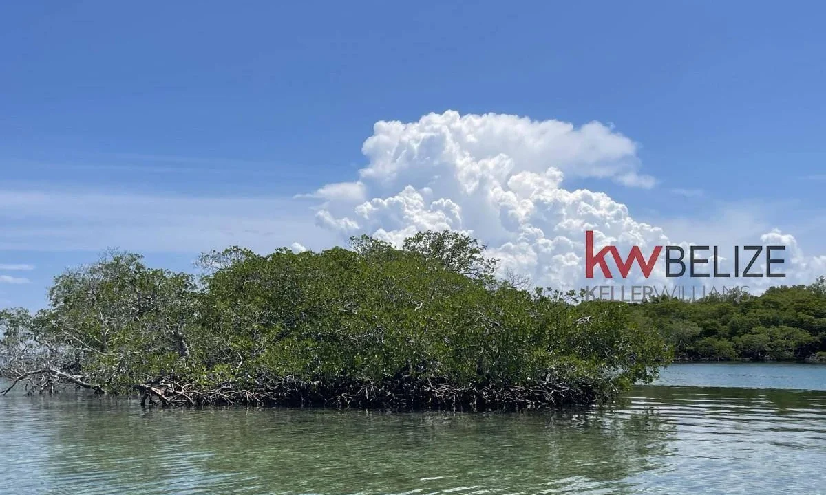 kellerwilliamsbelize-i2082-10