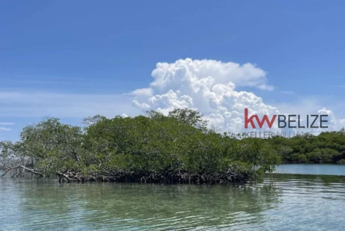 kellerwilliamsbelize-i2082-10