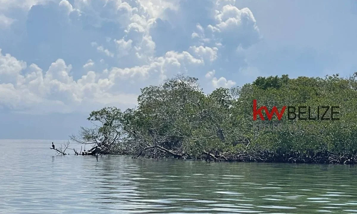 kellerwilliamsbelize-i2082-14